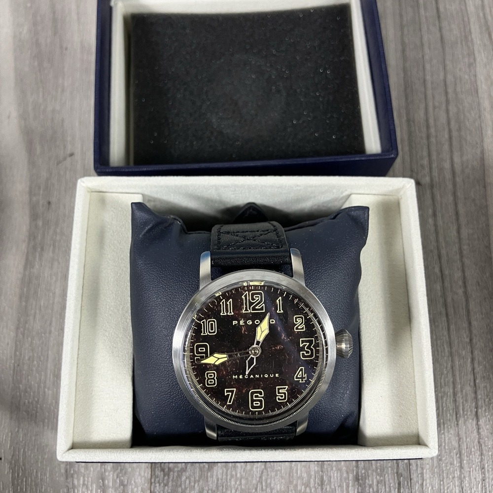 Pegoud‎ Des Ailes Mechanical Skeleton Watch PG-9003-01 Men's Wristwatch